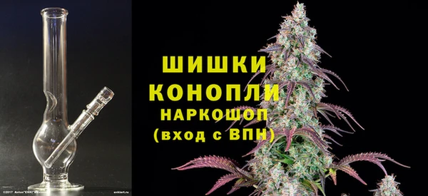 дмт Сатка