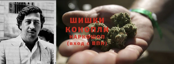 амф Каменногорск