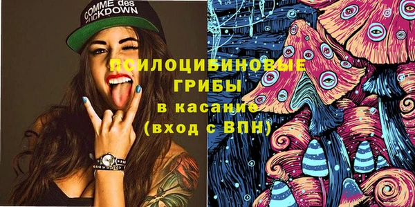 амф Каменногорск