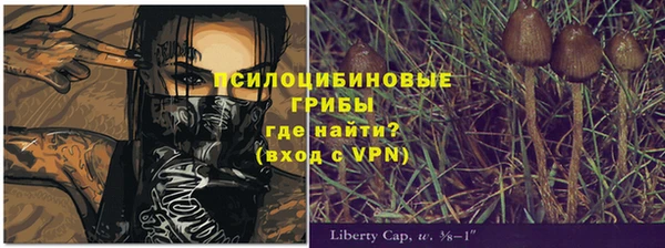 винт Рославль