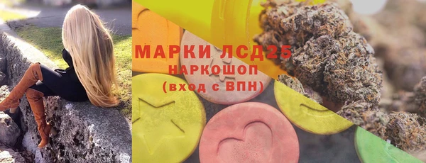 амф Каменногорск