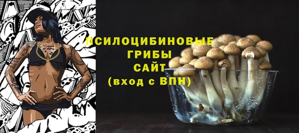 амф Каменногорск