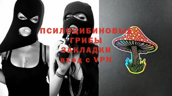 альфа пвп Каменка