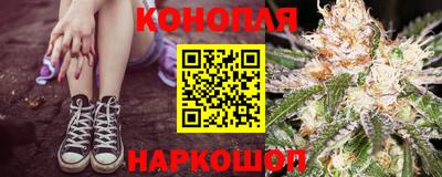 спайс Гай