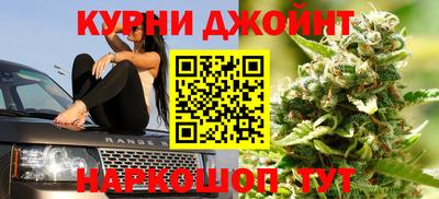 спайс Гай
