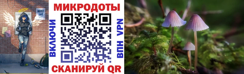 Галлюциногенные грибы Psilocybe  Сосновоборск 
