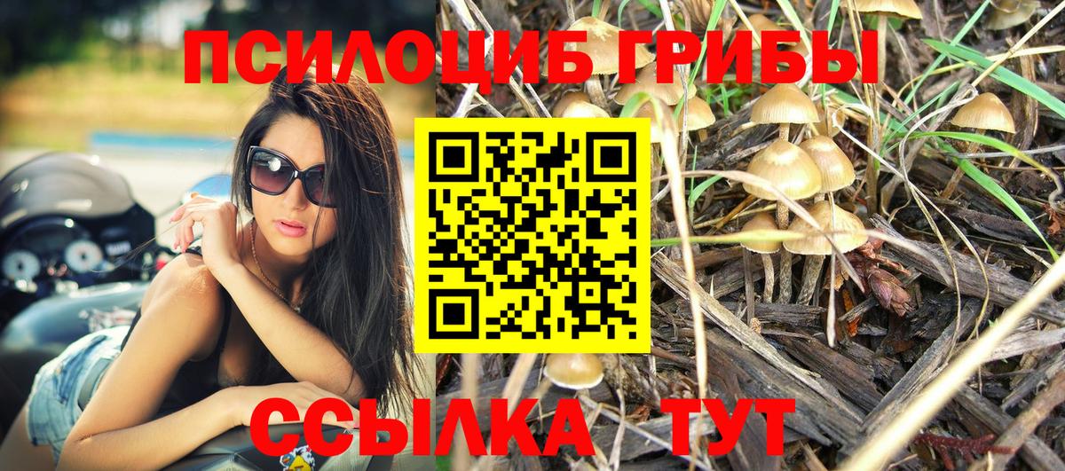 цена   Сосновоборск  Галлюциногенные грибы GOLDEN TEACHER 