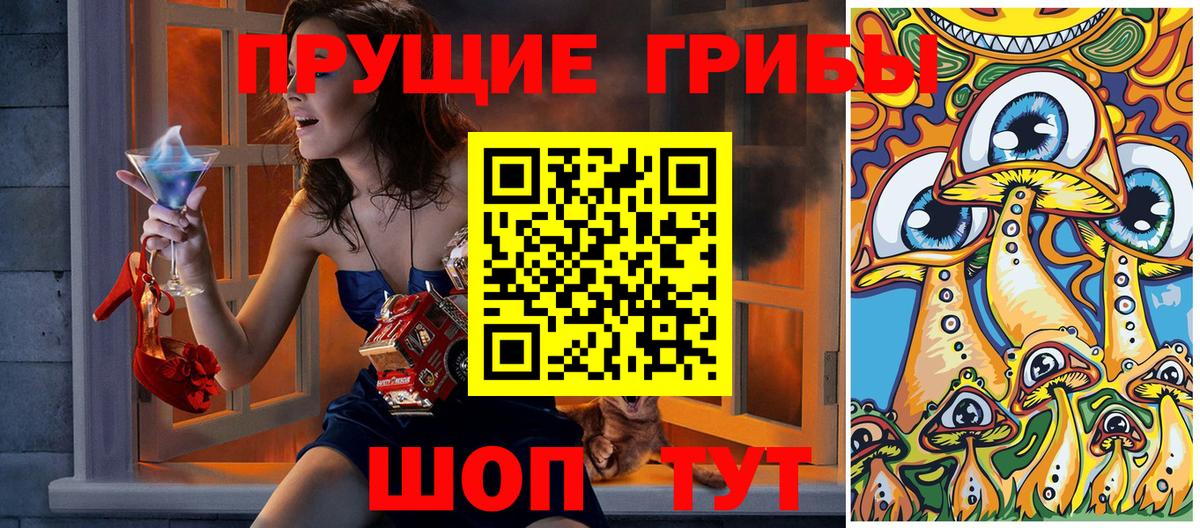 Псилоцибиновые грибы MAGIC MUSHROOMS  Вход с VPN  Сосновоборск  цены наркотик  Псилоцибиновые грибы мухоморы 